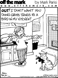 Funny Thanksgiving Wallpaper Funny Thanksgiving Wallpaper