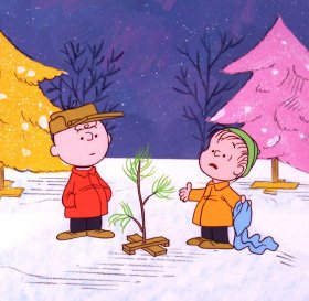 [charlie's+tree.bmp]