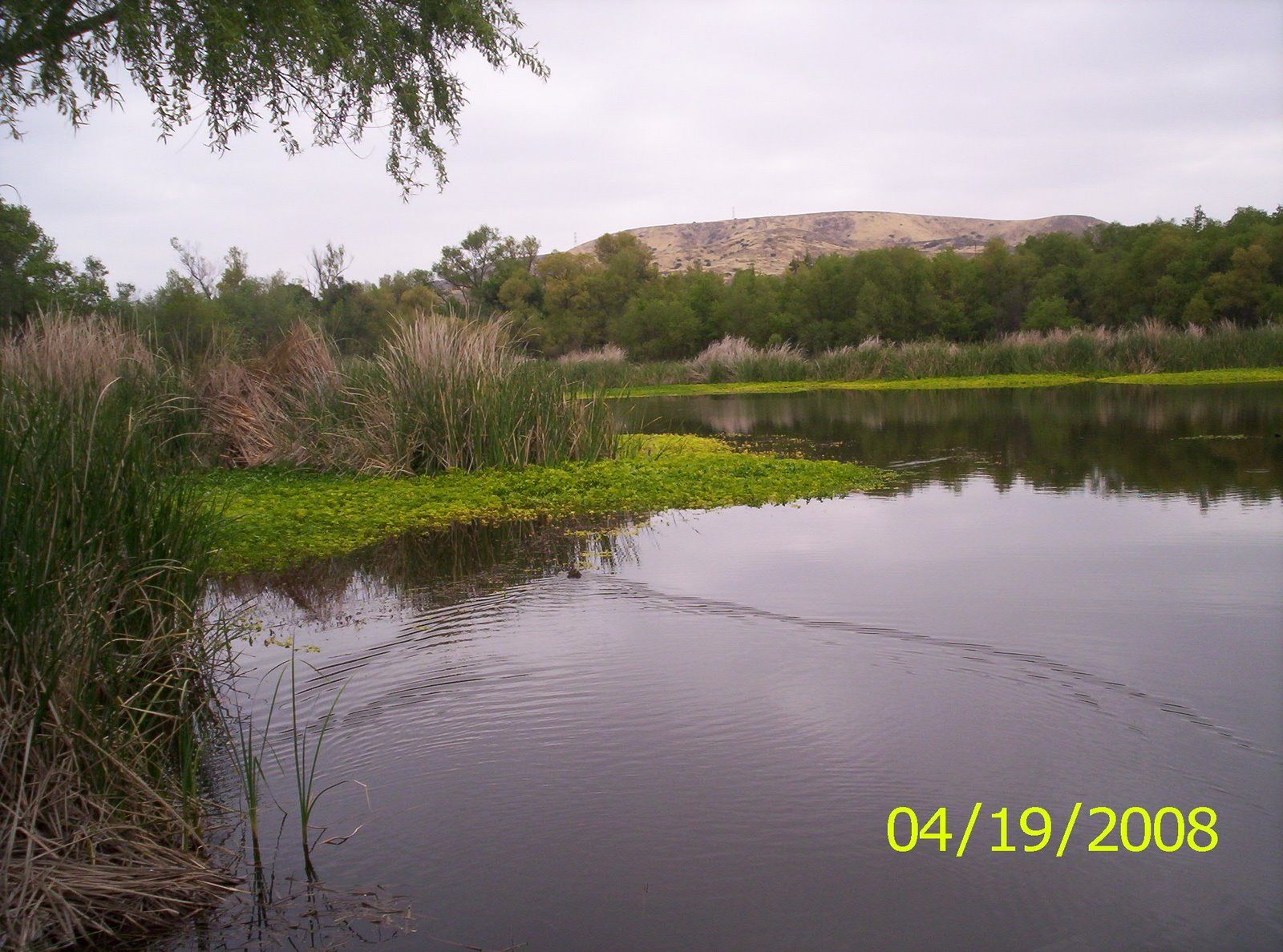 [100_0757.JPG]