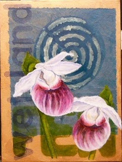 showy lady's slipper cypripedium reginae painting