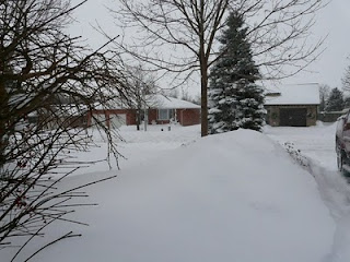 snow in Belmont