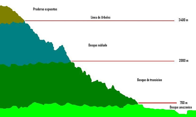 FGeoinformática Zona de Transición