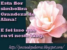 SELINHO DA POESIA DAS PALAVRAS COM A CAMÉLIA ROSADA