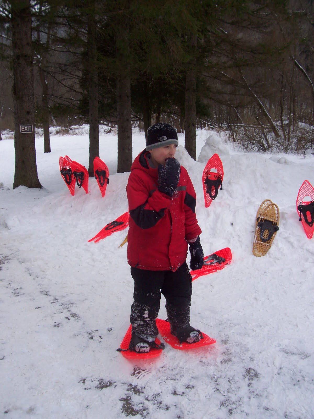 Gallery2404: June 2010