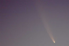 Comet McNaught