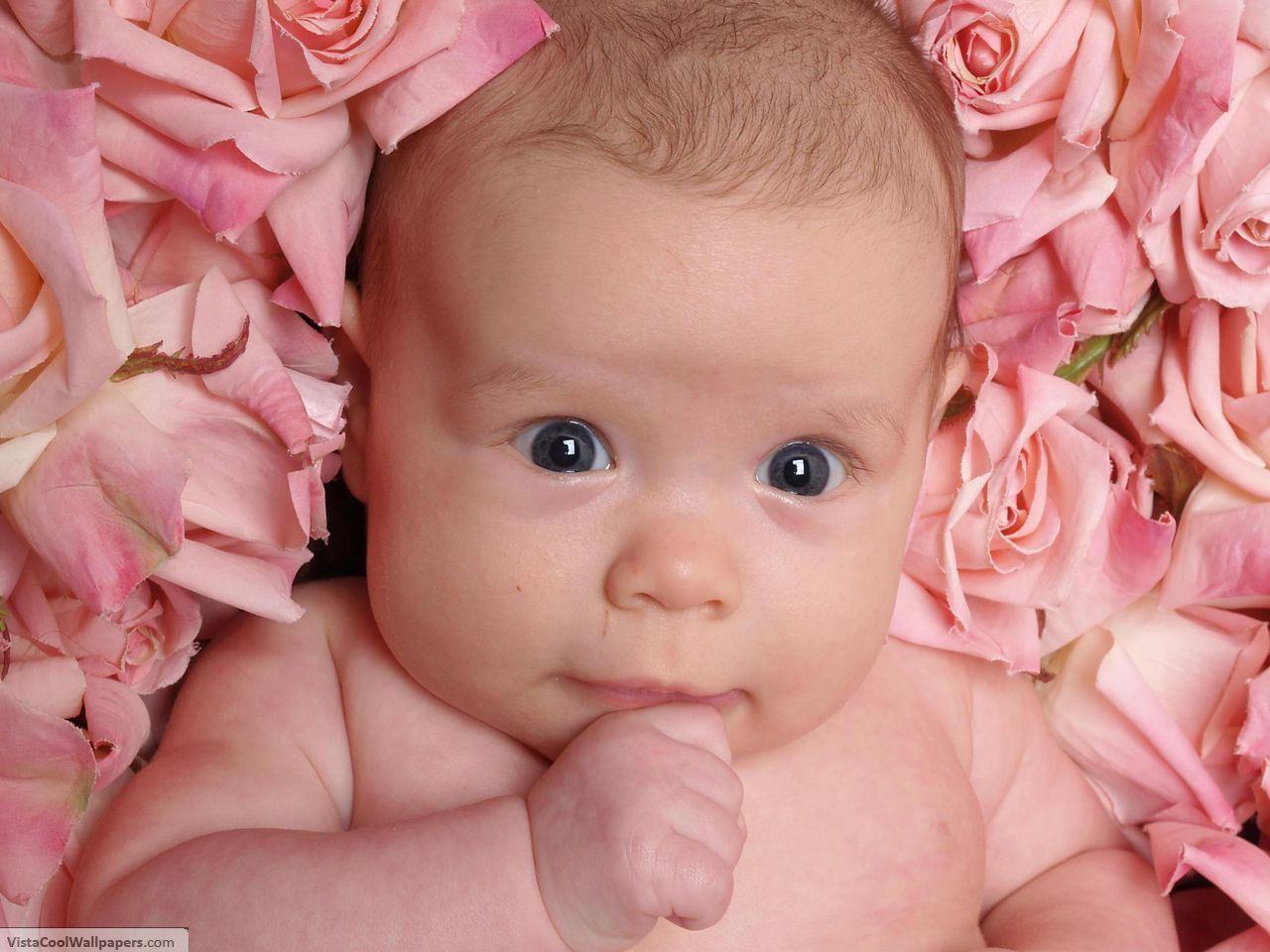 Flowers With Babies