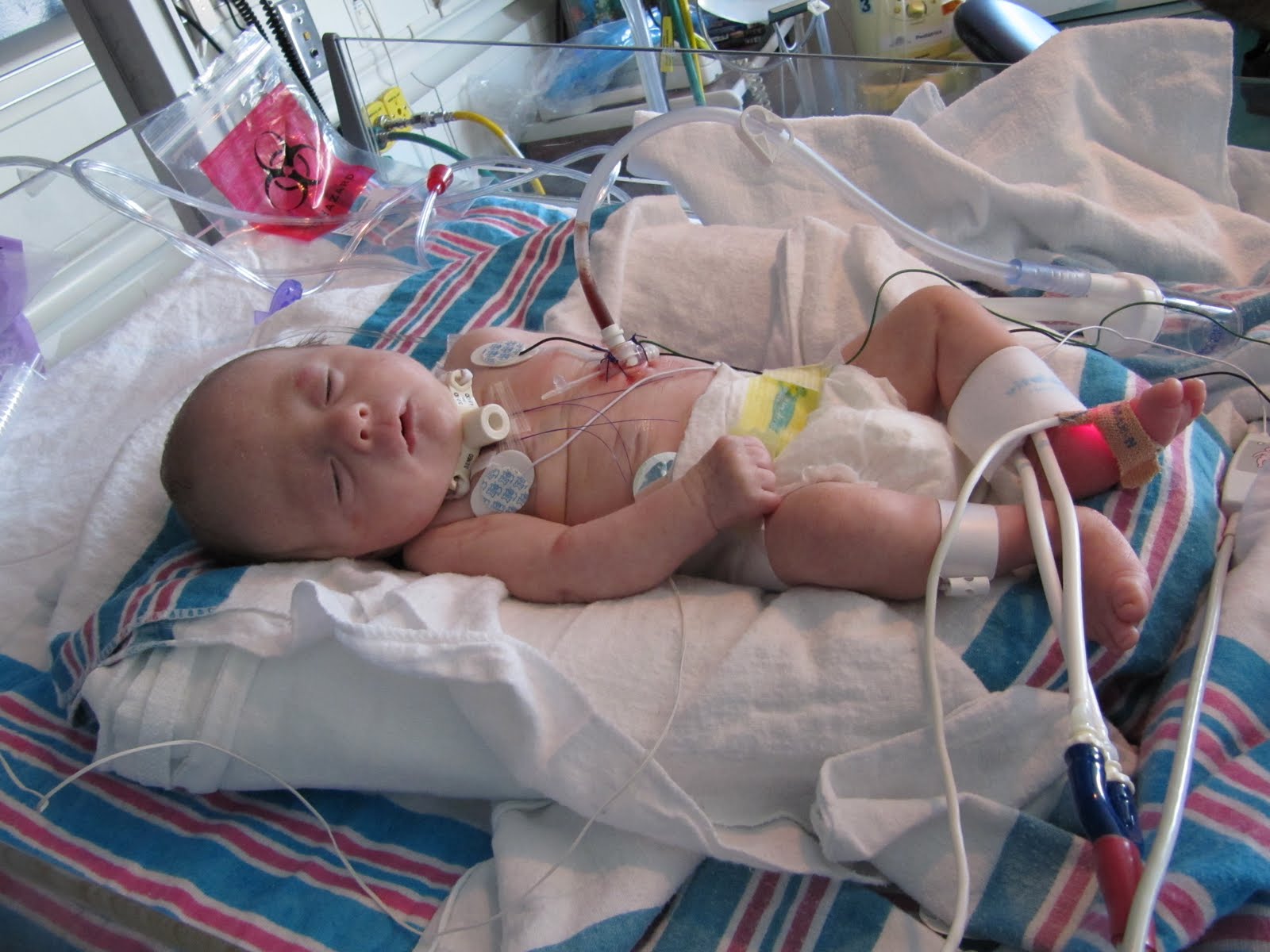 Rebekah Faith Redefining With Life' Living with