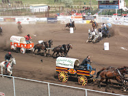 Chuckwagon Racing