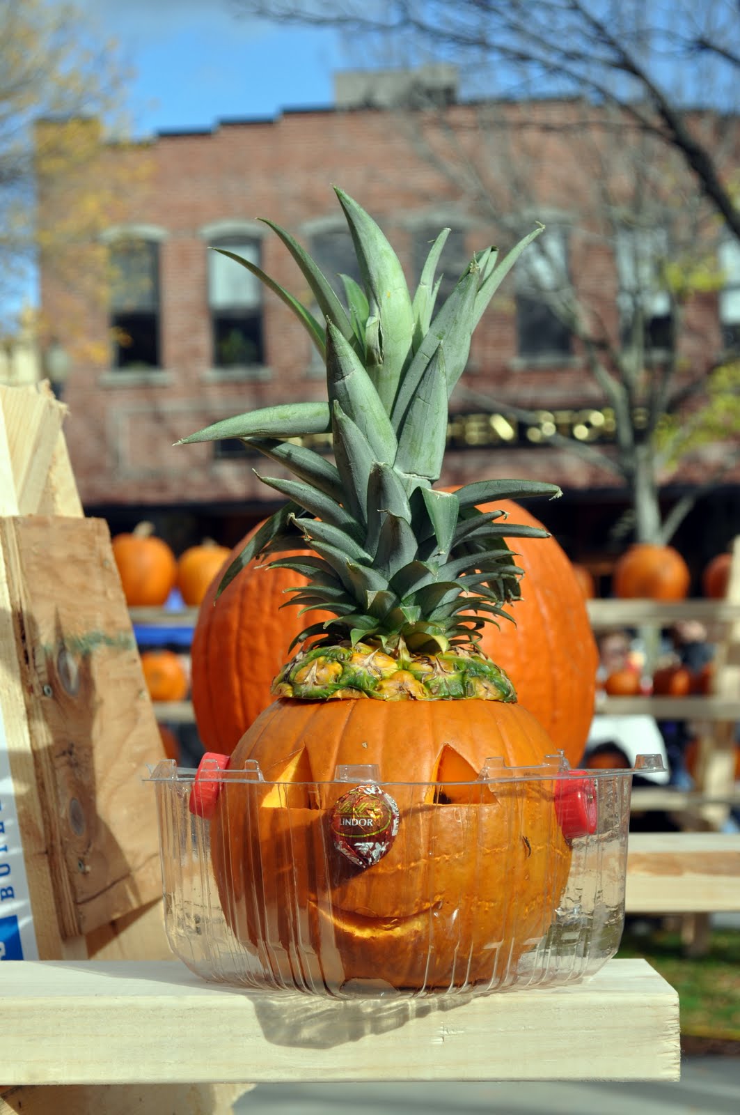 New England Photos: Keene Pumpkin Festival - Part 2