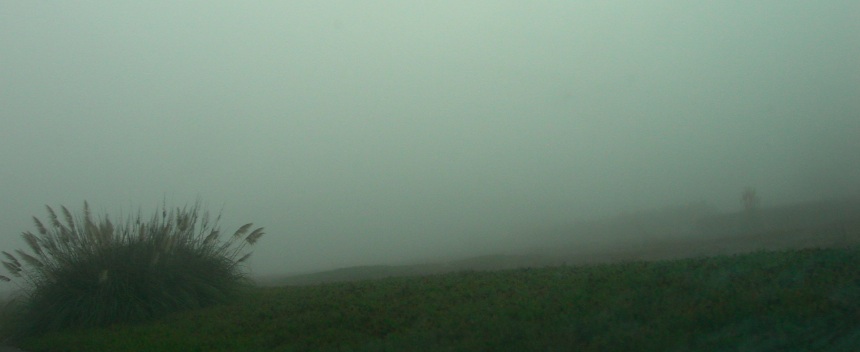 [Foggy+Horizontal.jpg]