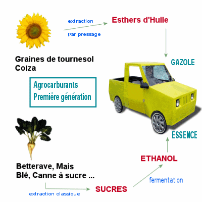 fabrication des biocarburants de 1ere génération