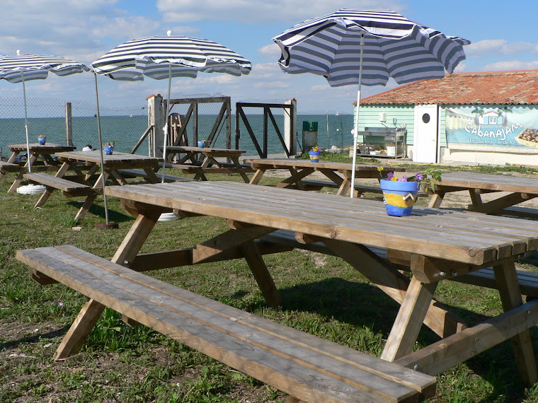 Dégustation sur la terrasse