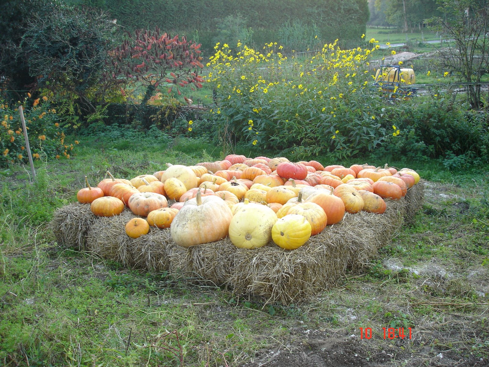 [DSC03444.JPG]