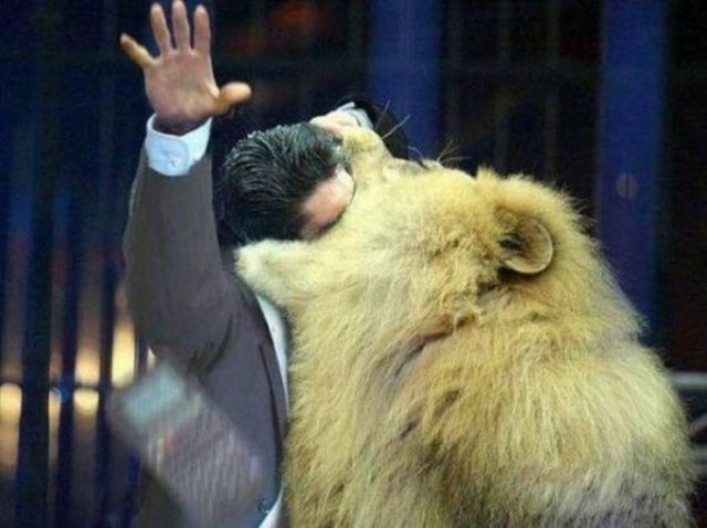 Lion Head Man