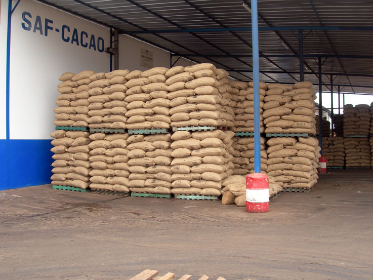 Shipping Cocoa