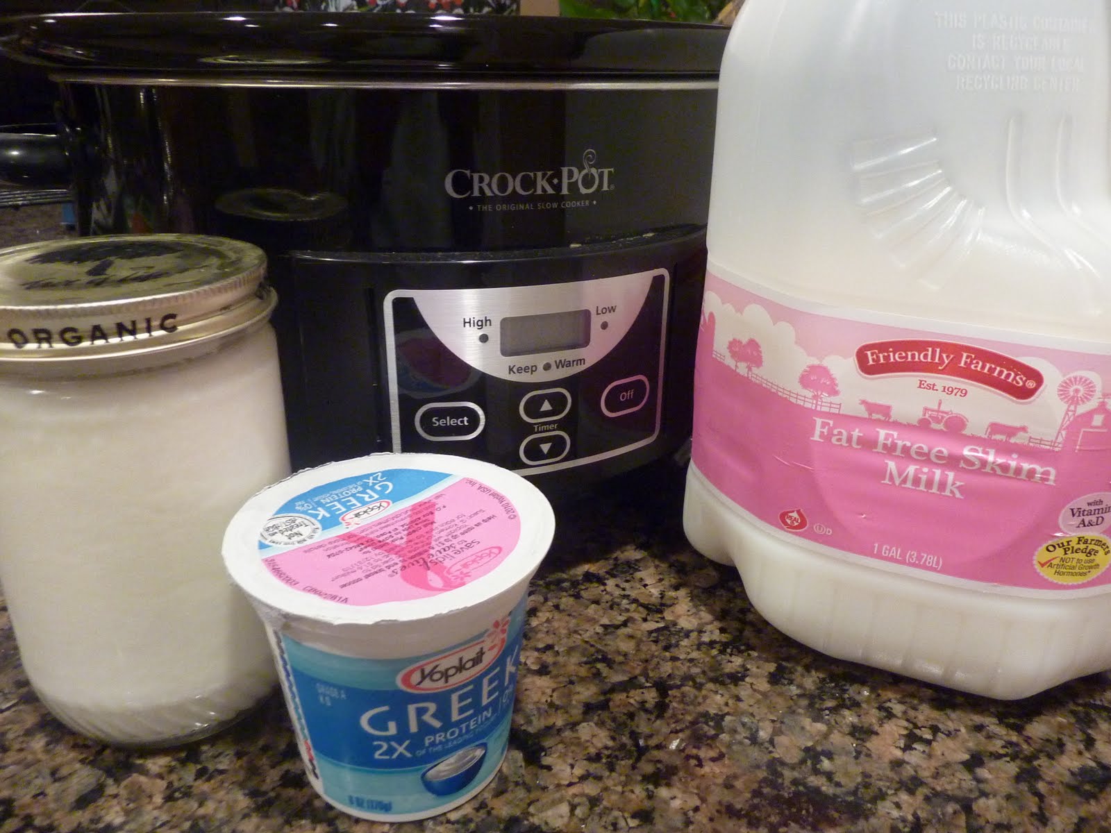 I Blame My Mother Make Your Own Yogurt (in your crock pot!)