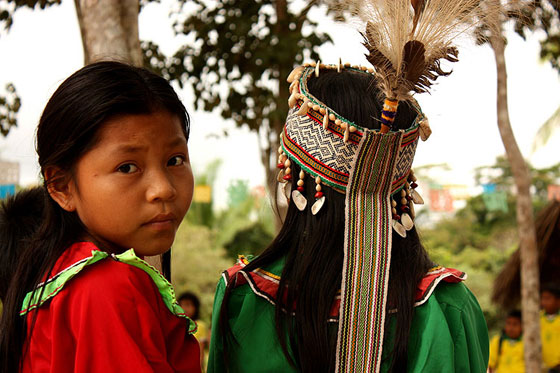 [amazoniaperu2_560.jpg]