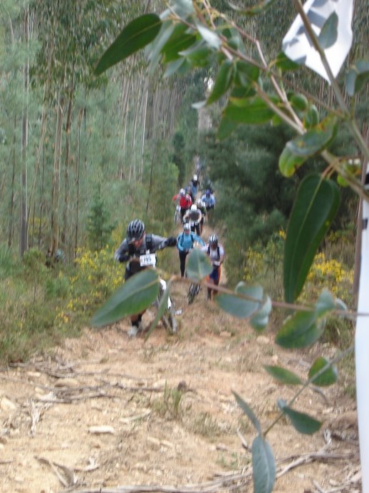[DSC02390.JPG]