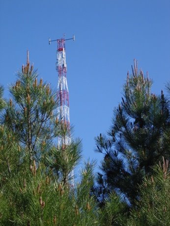 [DSC02637.JPG]