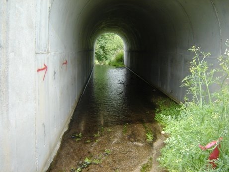 [DSC03089.JPG]