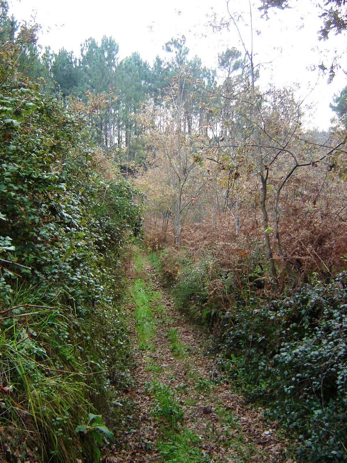 [DSC05458.JPG]
