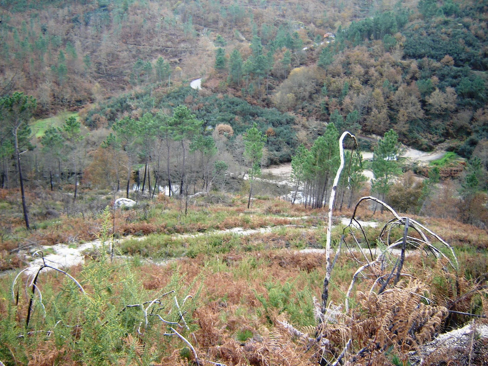 [DSC05459.JPG]