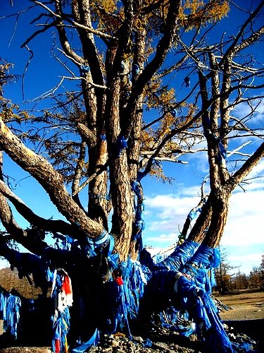 [55+zuun+salaa+mod.jpg]