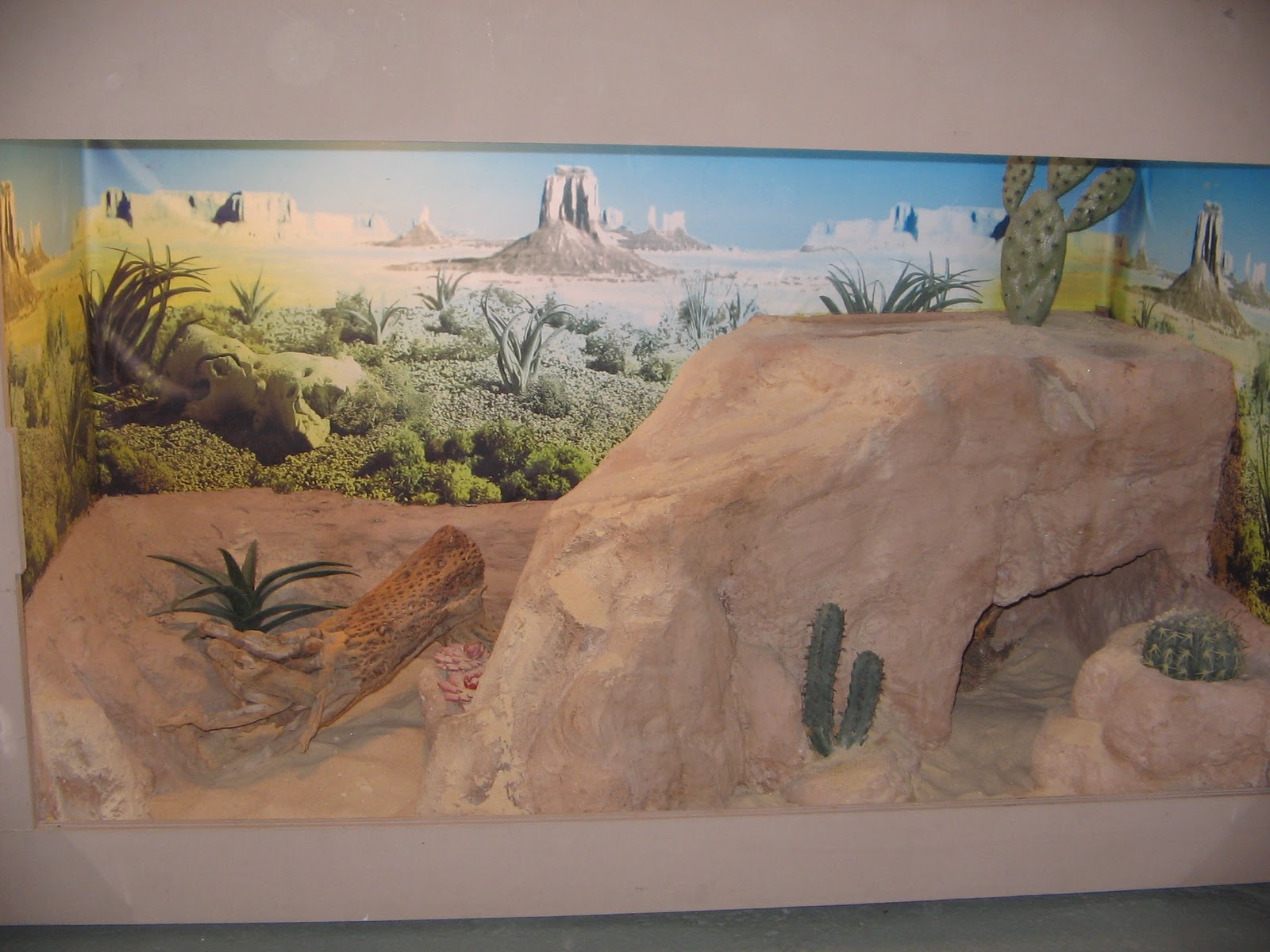 [natural stone tile for bearded dragon cage]