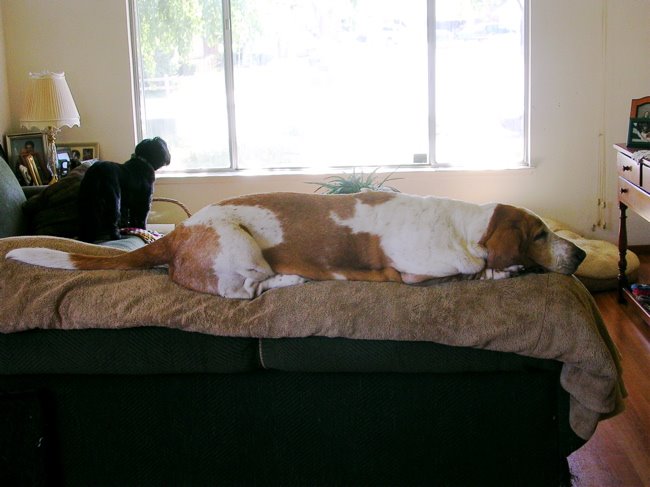 [watching+bilbo.JPG]