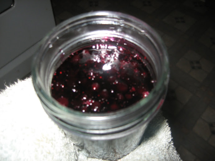 Blueberry Preserves