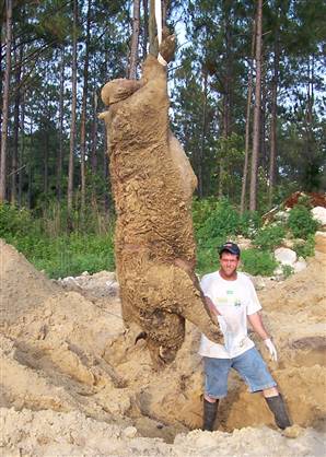 [Giant_Animals_07.jpg]