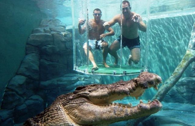 Gaiola da Morte, um encontro com crocodilos