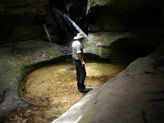 Searching for giant spiny crayfish