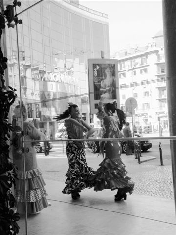 [Flamenco.JPG]