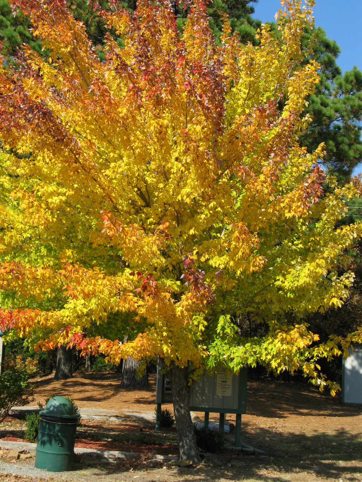 [Greenleaf+State+Park+Cabin+002.JPG]