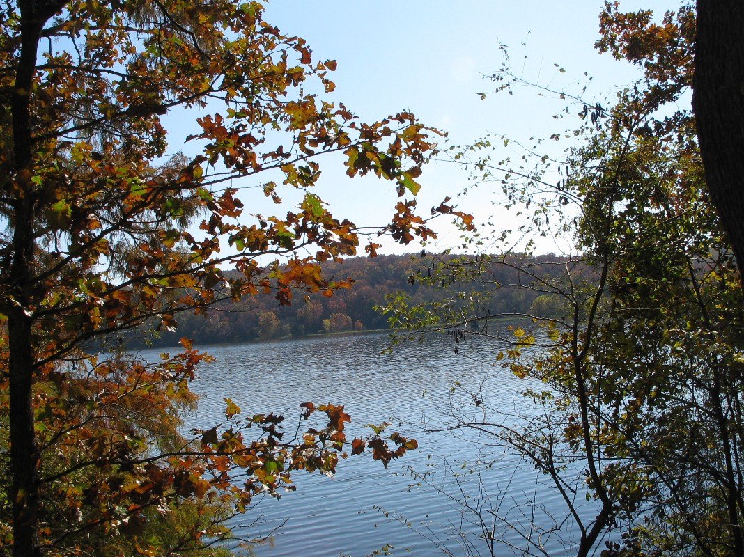 [Greenleaf+State+Park+Cabin+047.JPG]