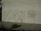 blood piru knowledge, blood gangs, all blood