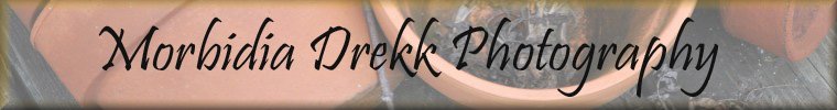 Morbidia Drekk Photography