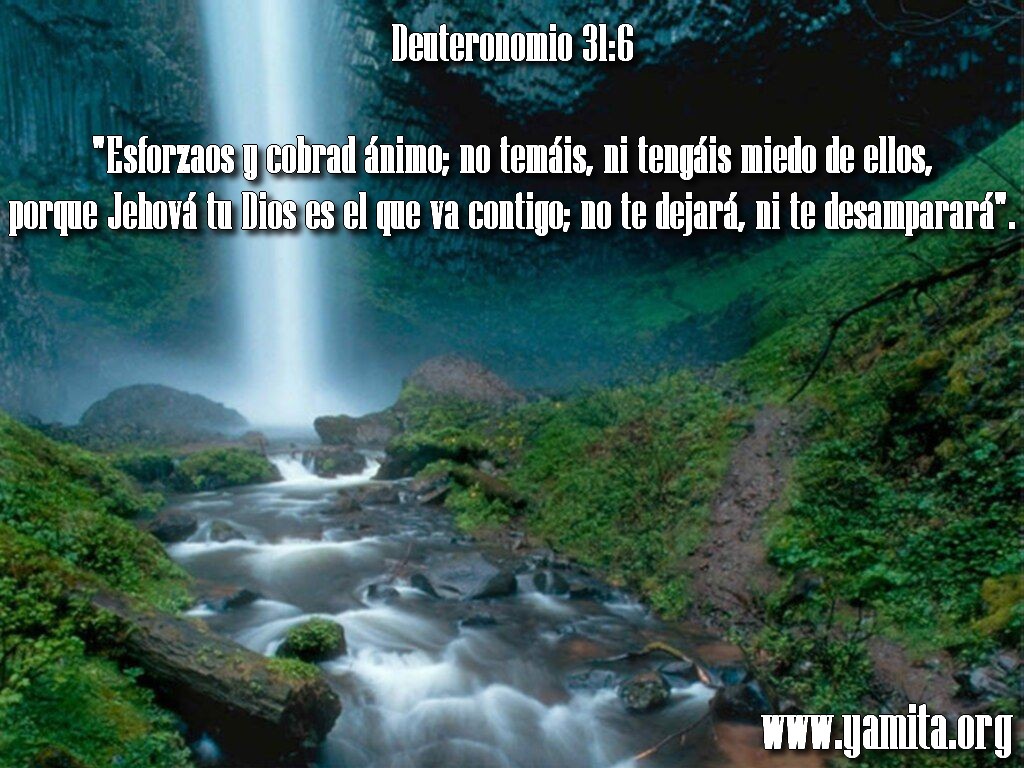 Jehova Dios