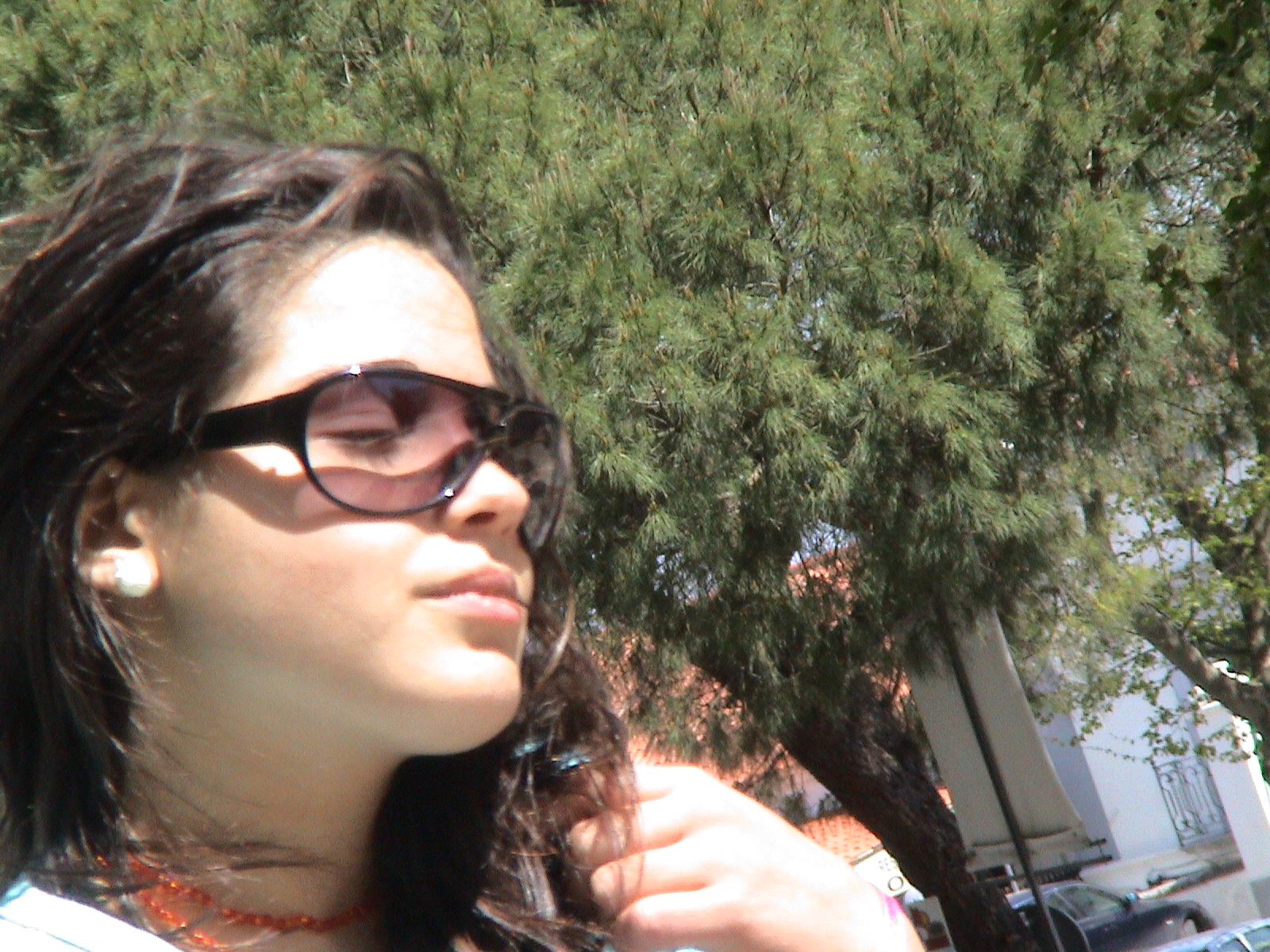[DSC00264.JPG]