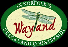 Wayland Partnership
