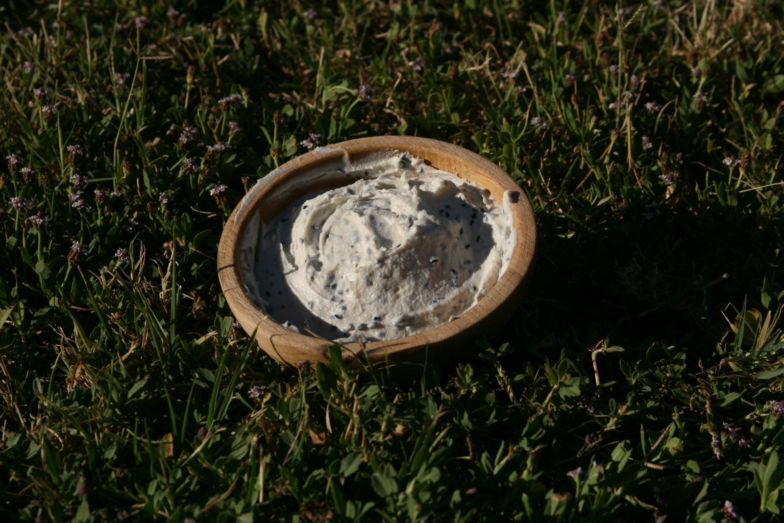 [שבועות+09+021.jpg]