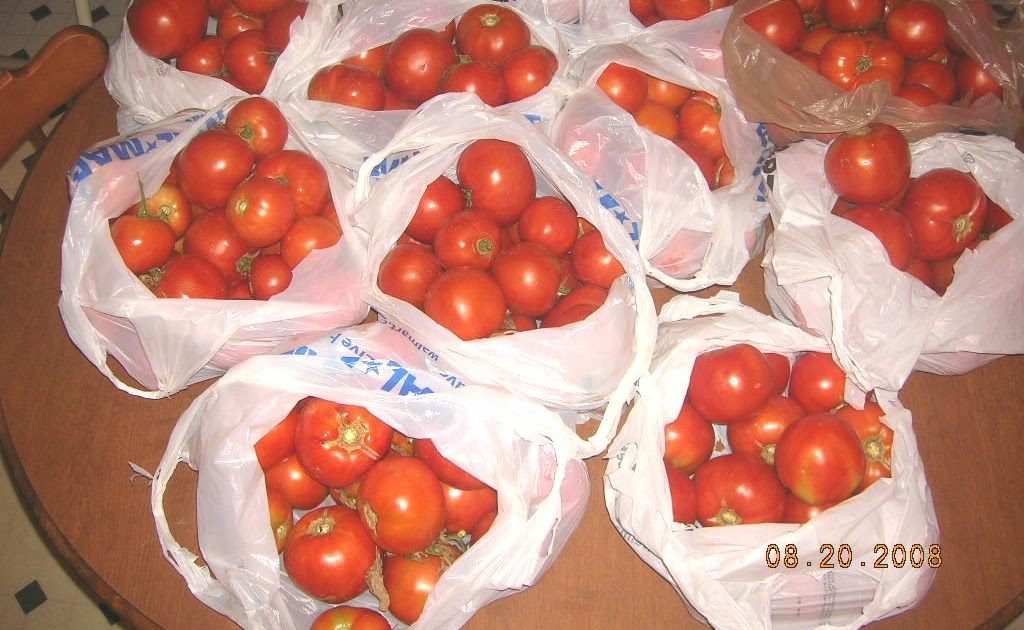 Just Jane MORE Tomatoes! Homemade V8 Juice