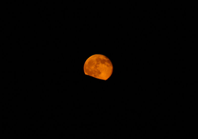 [110309moon.jpg]