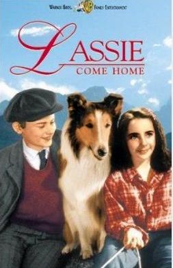 [Lassie.JPG]