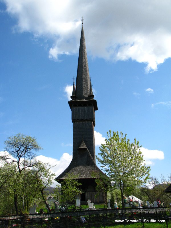 [IMG_8173.JPG]