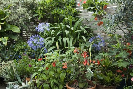 Open by appointment for NGS