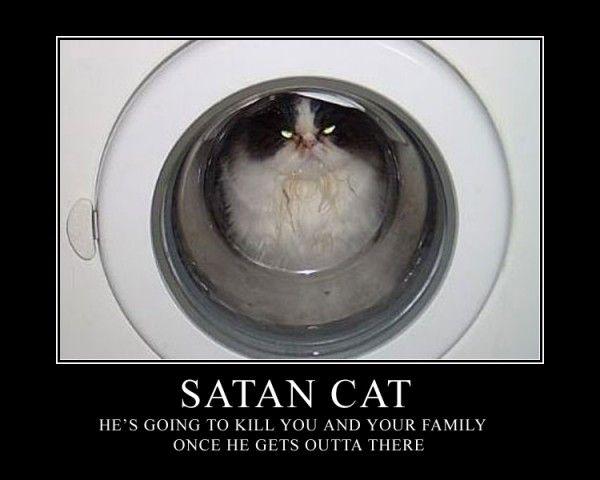 satan-cat-demotivational-poster.jpg