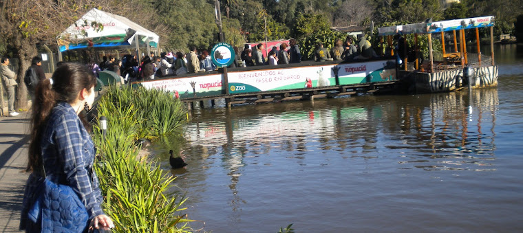 Mirar hacia adelante ;