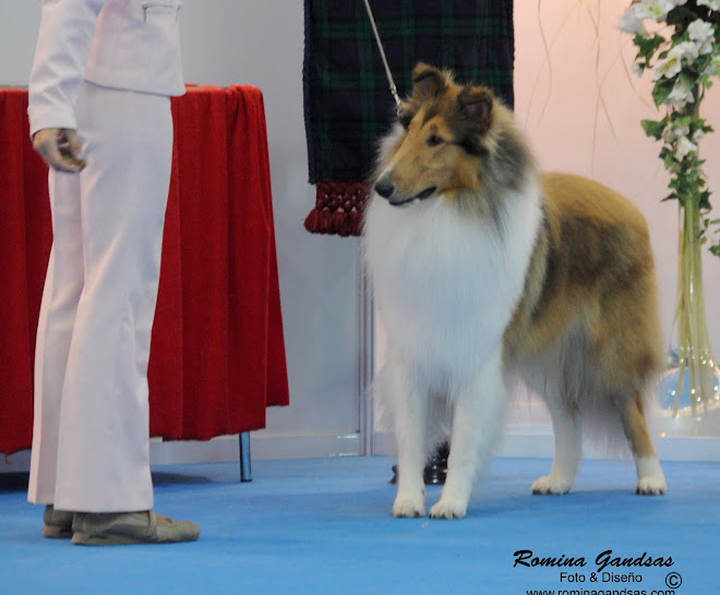 EXPO FCA - Abril 2010